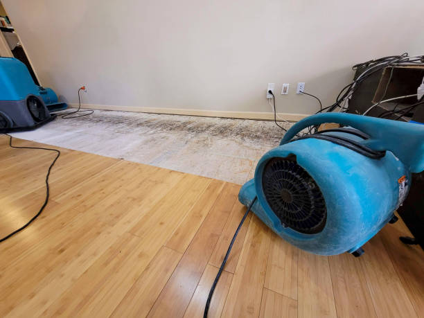 Professional Basement Flood Cleanup technician working in Windsor, OH